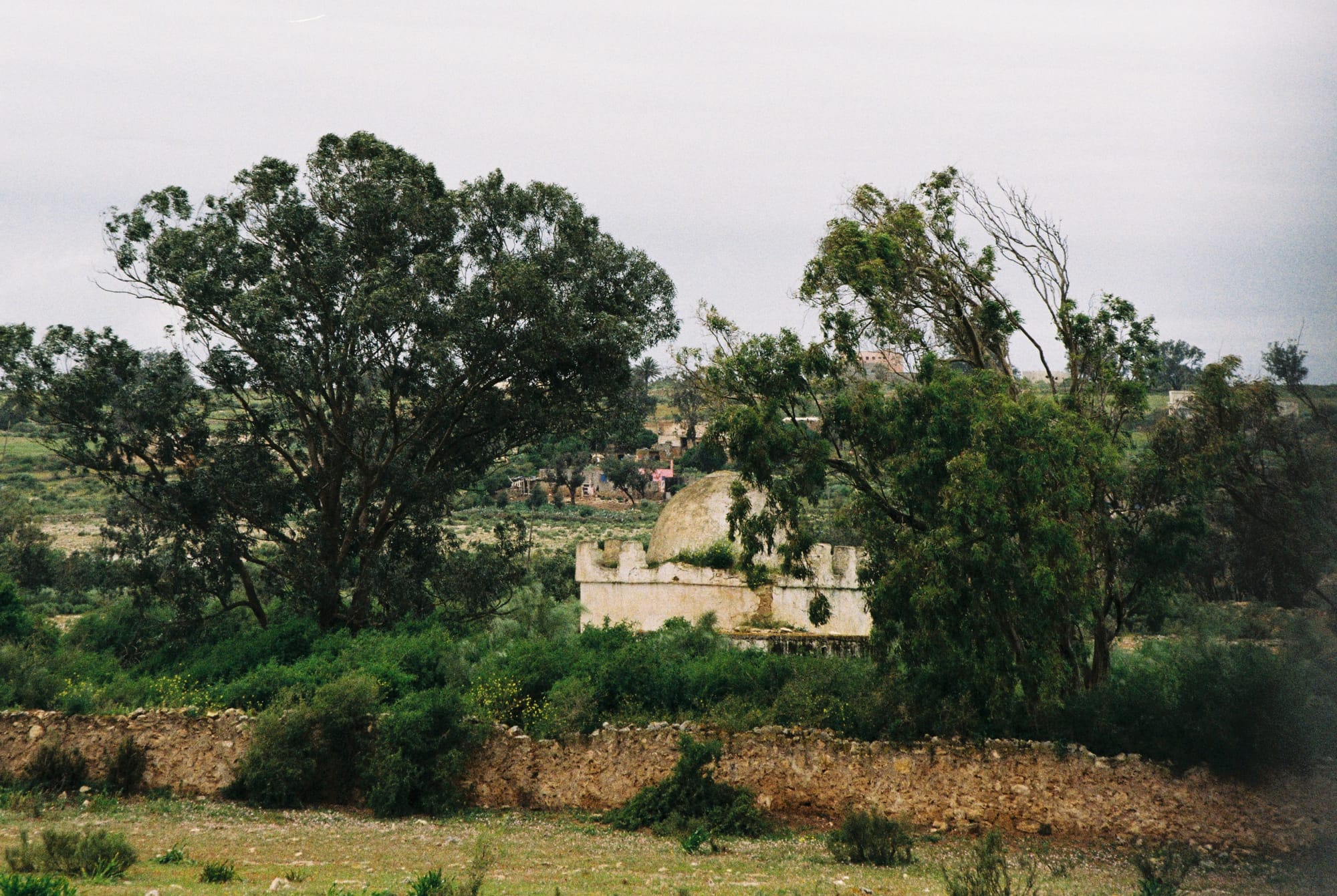 Abandoned mosque about 10km from Qualidia