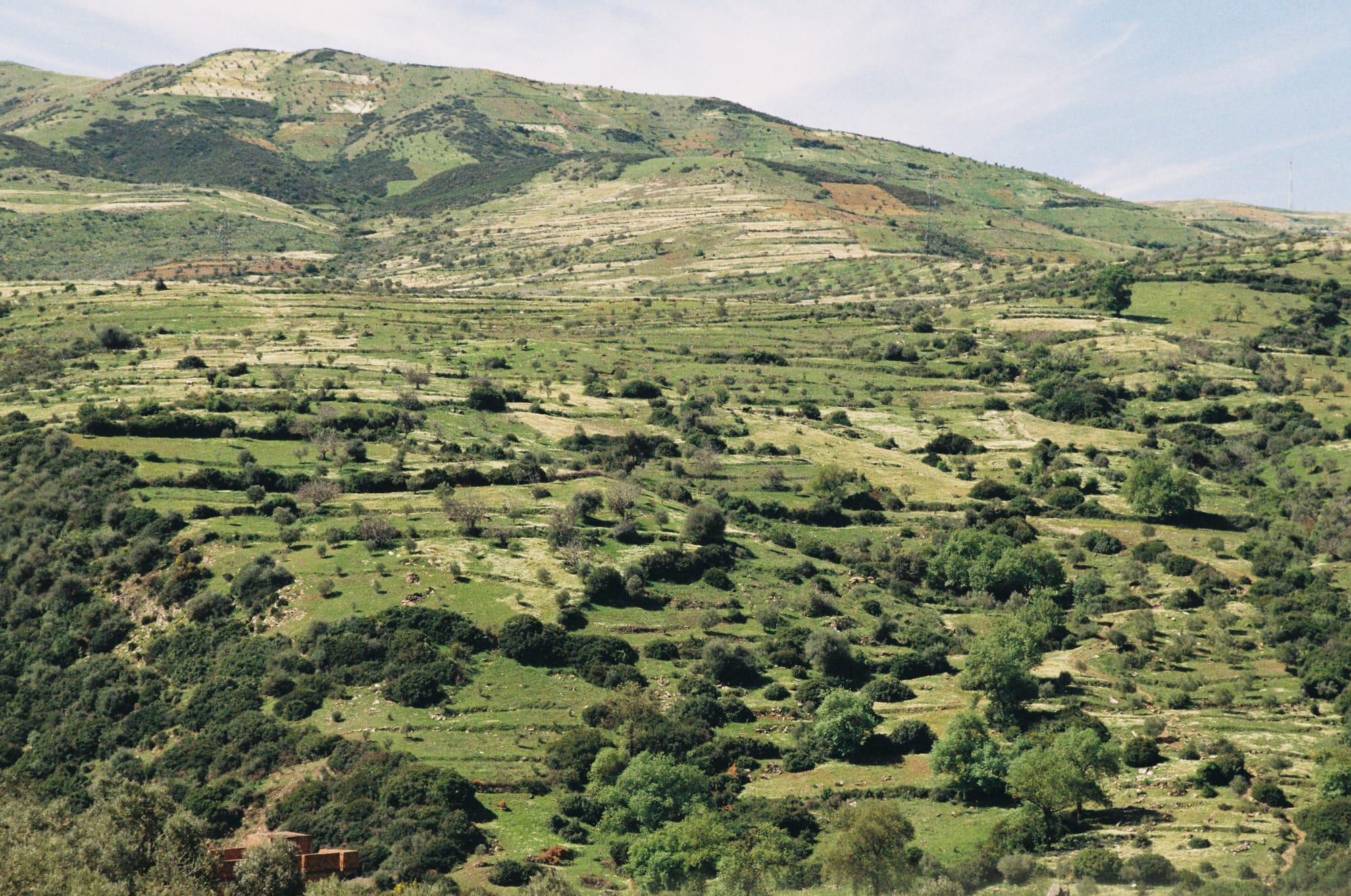 Morocco — Terraces on a hill