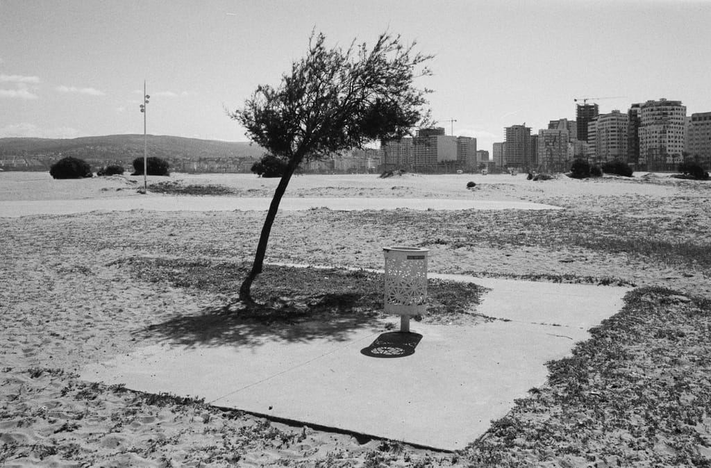 Northern Morocco — From Tangier to the Rif and back to Salé